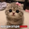 IMG_2901.jpeg