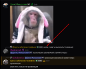 1784653918731.png 1784653918731.png