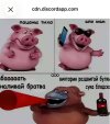 IMG_3863.jpeg IMG_3863.jpeg