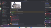 1784740282311.png 1784740282311.png