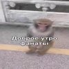 IMG_3053.jpeg
