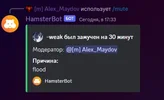 1710341201680.webp