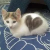 1711379312563.webp