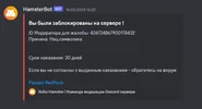 Снимок.webp
