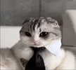 изображение_2024-04-03_150401058.webp изображение_2024-04-03_150401058.webp