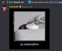 1712530332541.webp 1712530332541.webp