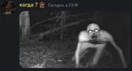 1712817001786.webp 1712817001786.webp
