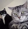msedge_iUyP8VTW38.webp