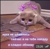 1713299243572.webp