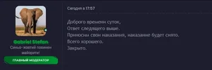 1717431866859.webp