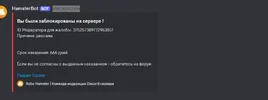 1718257128738.webp