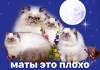 Ay0AkVUqO51tUf873knamjbP7XkdpKQdVpryfPSeutncn7XD3cQW5pyGYNj8OdRwD3aQN8HV.png Ay0AkVUqO51tUf873knamjbP7XkdpKQdVpryfPSeutncn7XD3cQW5pyGYNj8OdRwD3aQN8HV.png