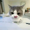 97a73f0f553157648c90655078101718.webp