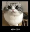 o4oDWJ3nI9RESmHB0fSnbDmRZwAeAjygkuVlQL~tplv-photomode-zoomcover_720_720.webp