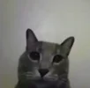1725576863925.png