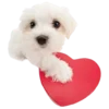 sticker.png