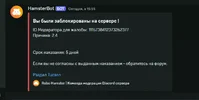 1728738934461.webp