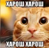 stiваавааcker.webp