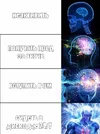 1730474972392.webp