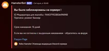 1730648982176.webp 1730648982176.webp