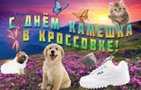Snimok-ekrana-2022-10-17-v-14.57.59.webp