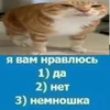 etodqnyq.webp