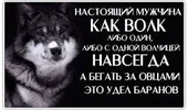 1735918314951.webp