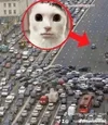 1736766355295.webp