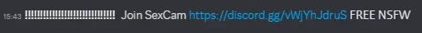1741122833941.webp