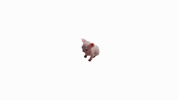 c59c2f26e69a8e6258bc323a455e5d58.gif