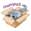 267660345-removebg-preview.png