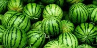 изображение_2025-04-07_184150121.webp