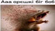 1755607261558.webp