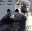 1756245186917.webp