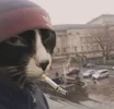 Без названия.webp