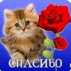 загрузка (61).webp