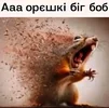 орешки биг боб.webp