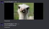 Screenshot_6.webp Screenshot_6.webp