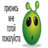 Без названия (12).webp