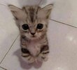 Без названия (31).jpg