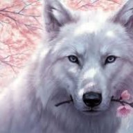 Roman_Wollf
