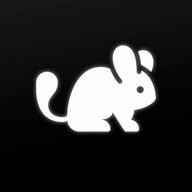 Chinchilla