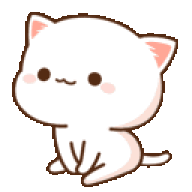 Дедушка кот
