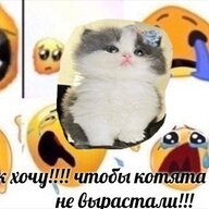 sc4am