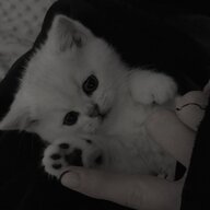 Obojau_JenskiyFitnes