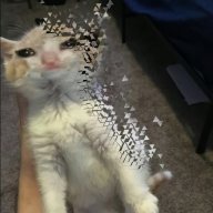Perez_Chilli