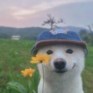 Yakow Knyazew