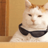 Pharaoh Inside