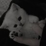 Obojau_JenskiyFitnes