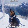 Yamato Dachshund